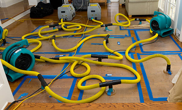 Professional Crawl Space Water Removal technician working in River Falls, WI